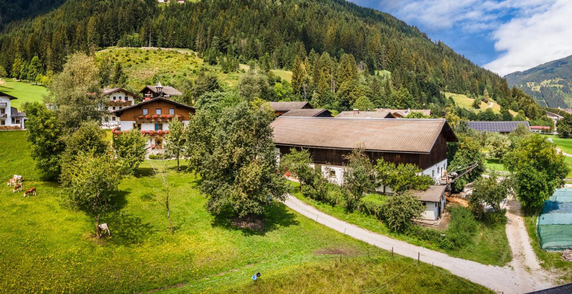 Villa Schartlhof à Flachau Extérieur photo