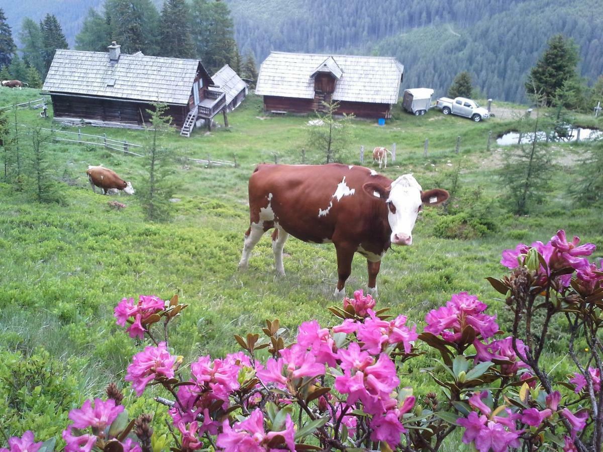 Villa Schartlhof à Flachau Extérieur photo